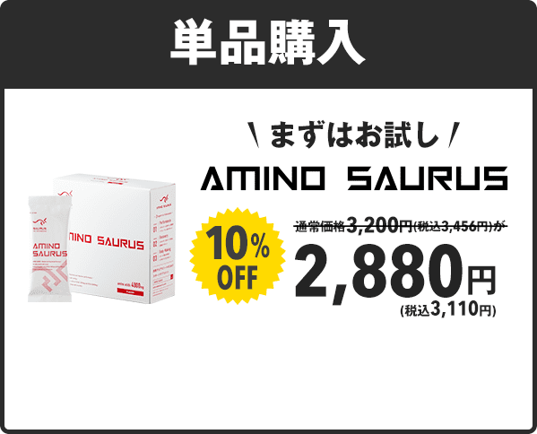 ユニセックス：L】SAURUSクラシックユニフォーム アースカラー