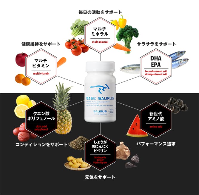 ベースサウルスのここがすごい！｜SAURUS公式オンラインショップ 