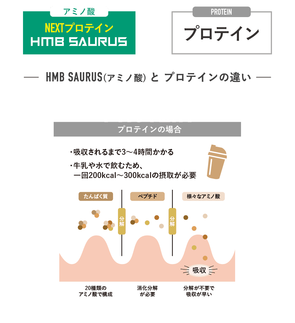 HMBSAURUS(アミノ酸 NEXTプロテイン) と プロテインの違い 【プロテインの場合】・吸収されるまでに3~4時間かかる。・牛乳や水で飲むため、一回200kcal〜300kcalの摂取が必要。