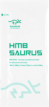 HMBサウルス商品